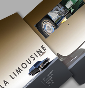 Aplicación de identidad 218